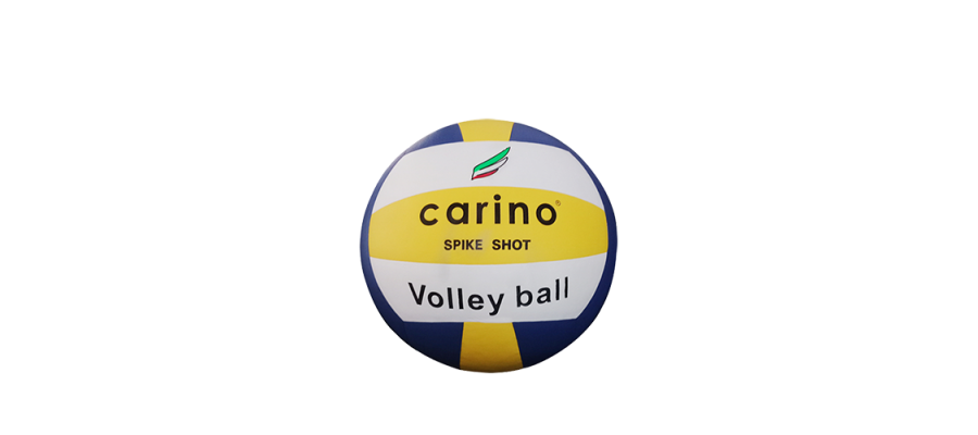 Volley Ball